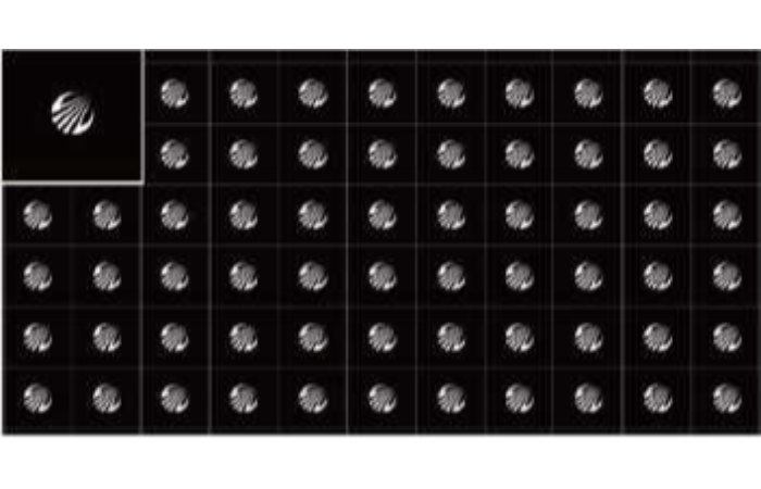 首页- 尊龙集团中国官网入口